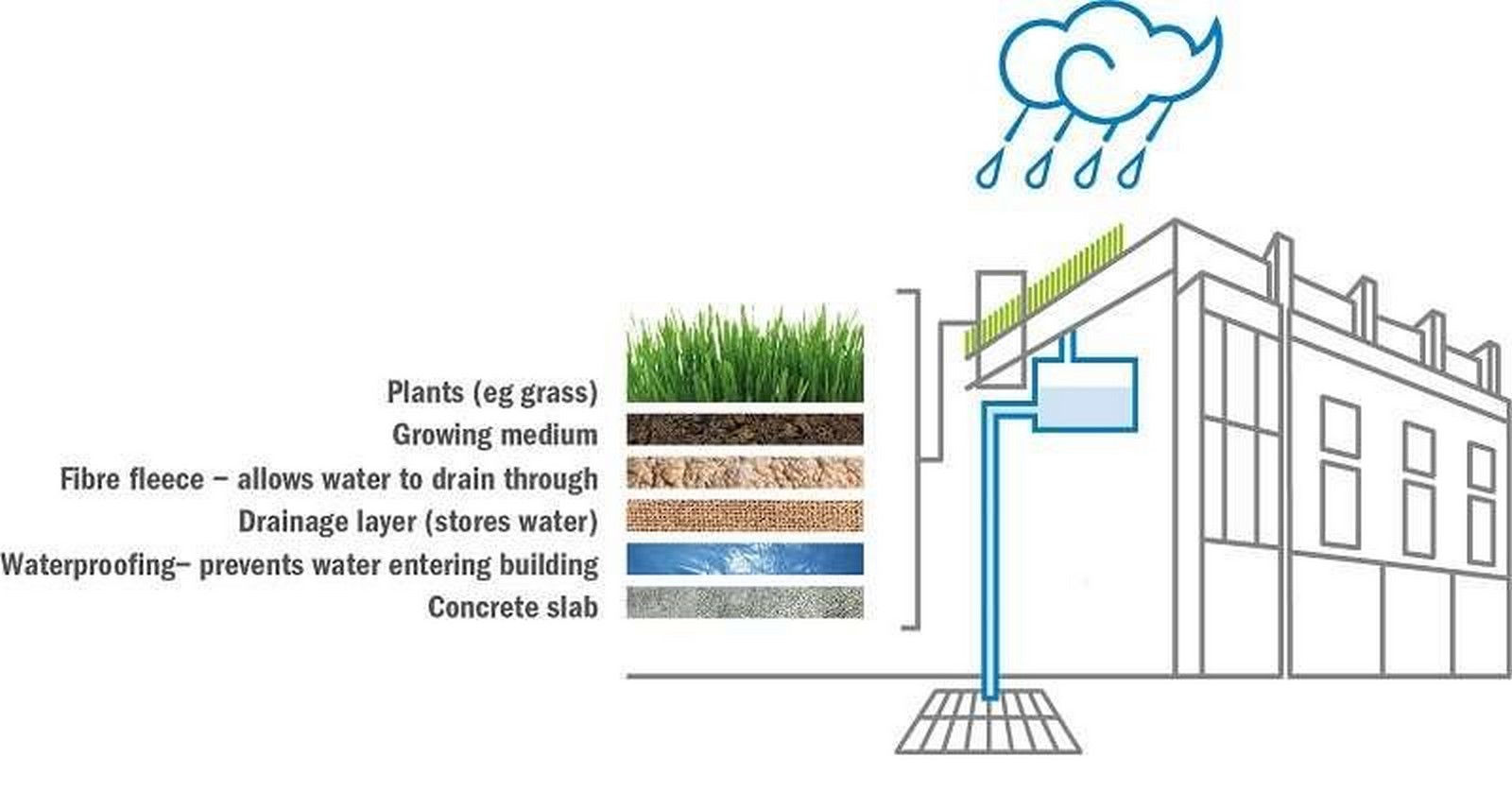 Hemp as a Sustainable Solution for Green Roofing Systems - Sheet2