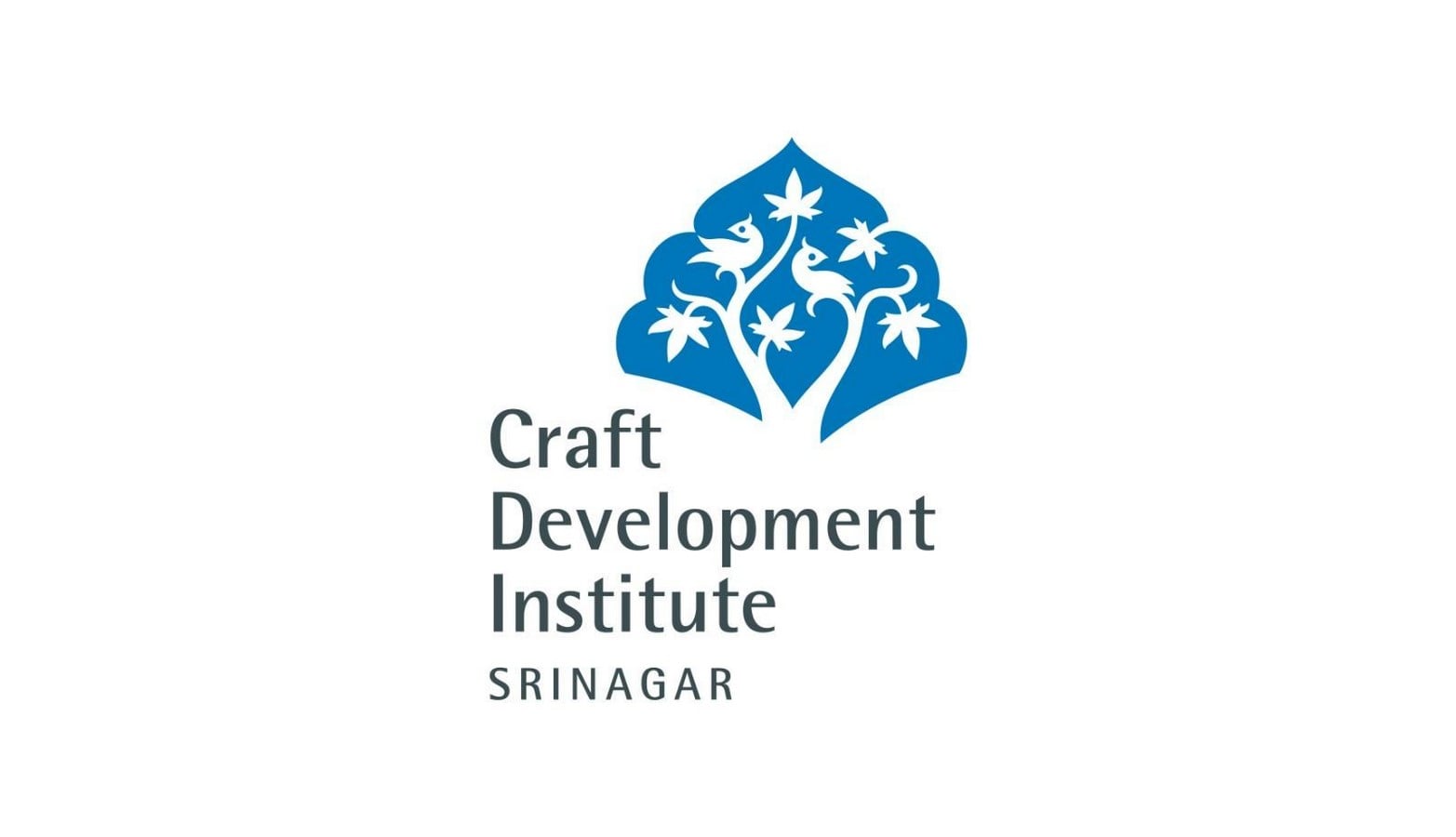 An overview of Craft Development Institute (CDI) - Sheet1