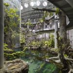 Architects and Sustainability: Renzo Piano - Sheet4