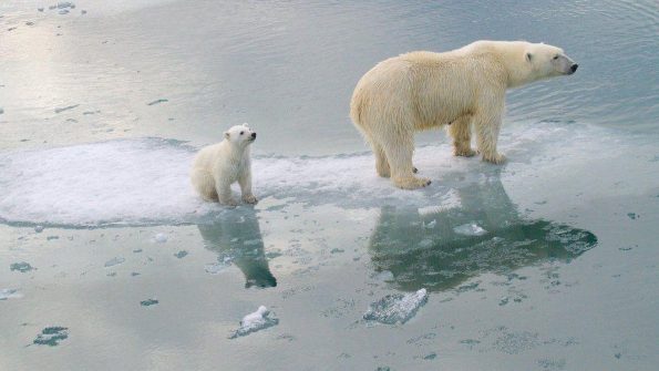 Collaborative Approaches to Climate Change - RTF | Rethinking The Future