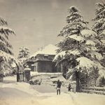 Museums of the World: Shimla Heritage Museum - Sheet2