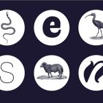 Evolution of Typography and Visual Communication - Sheet1