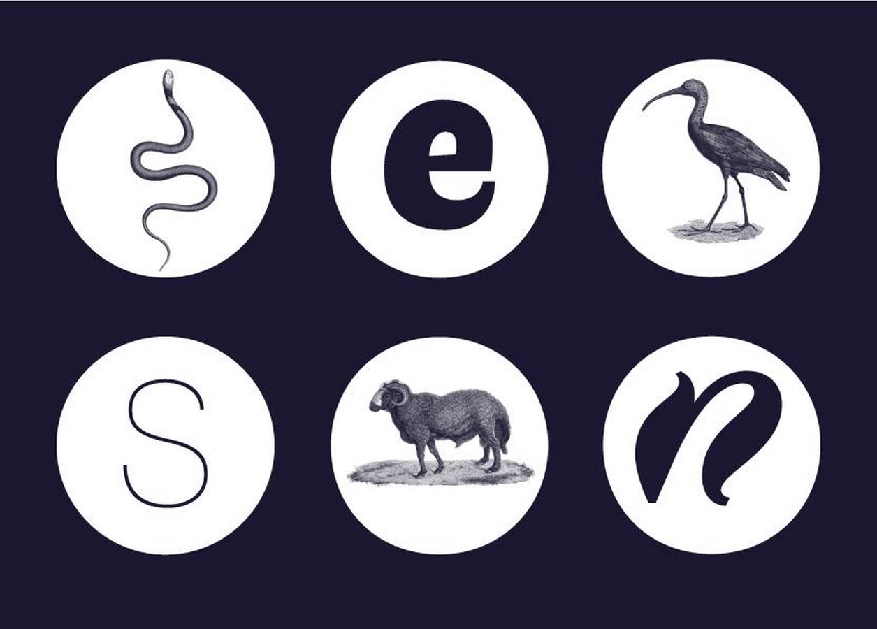 Evolution of Typography and Visual Communication - Sheet1