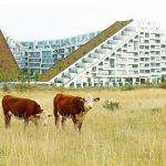 Architects and Sustainability: Bjarke Ingels - Sheet2