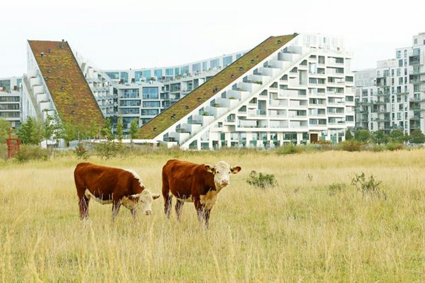 Architects and Sustainability: Bjarke Ingels - Sheet2