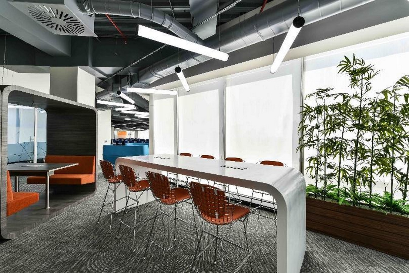 The Role of Biophilic Design in Enhancing Workplace Productivity and Wellbeing - Sheet3