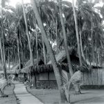 Luxury Housing and Resort Living - Sheet8