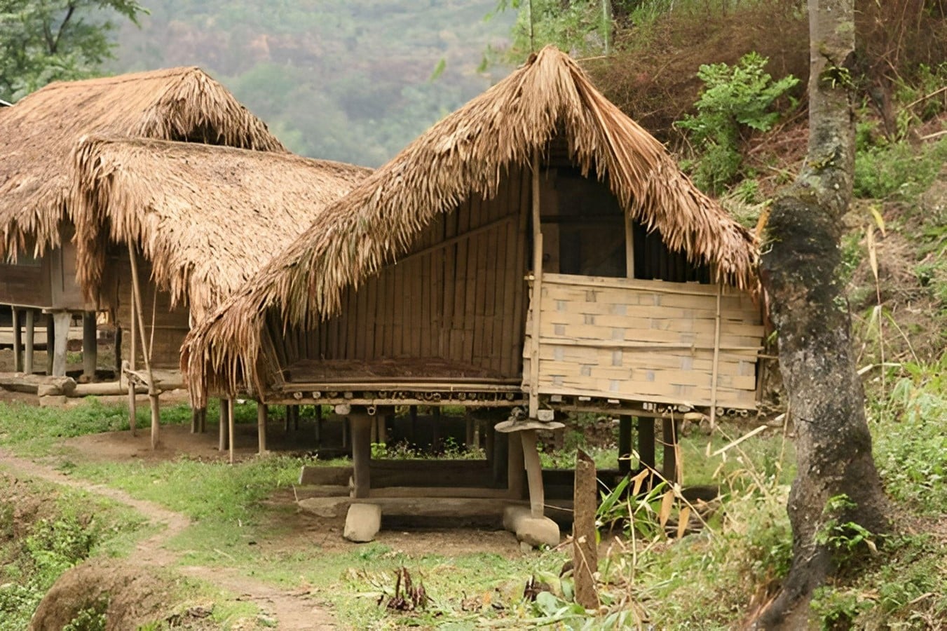 Heritage walk: Nagaland - Sheet3