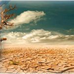 Architectural Responses to Natural Disasters and Climate Change - Sheet2