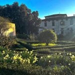 Symmetry and Elegance: Unveiling the Design of the Gardens at Villa di Castello and Villa La Petraia - Sheet1
