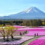 8 International Cultural Festivals and Events - Sheet11