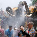 8 International Cultural Festivals and Events - Sheet8