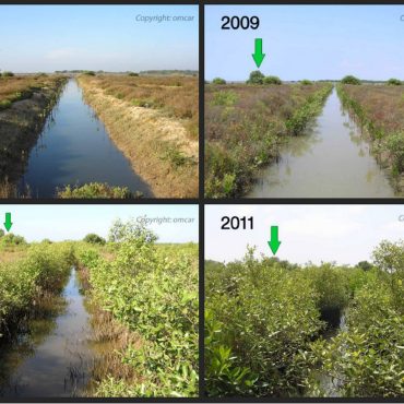 Restoration of Ecosystems and Biodiversity - RTF | Rethinking The Future