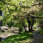 Zen Aesthetics and Architectural Minimalism - Sheet5