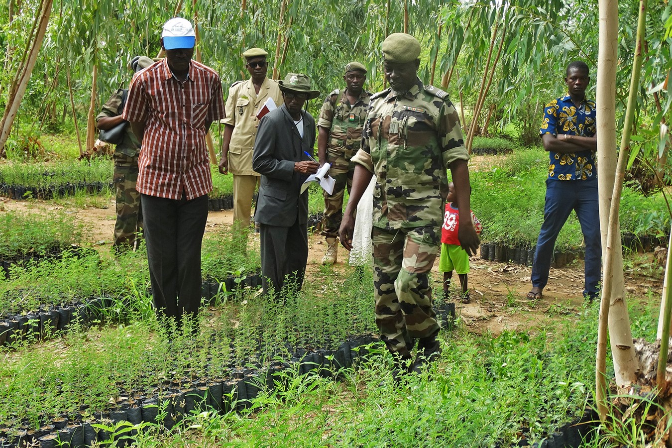 Project in-depth: The Great Green Wall, Africa - Sheet3