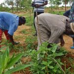Project in-depth: The Great Green Wall, Africa - Sheet4