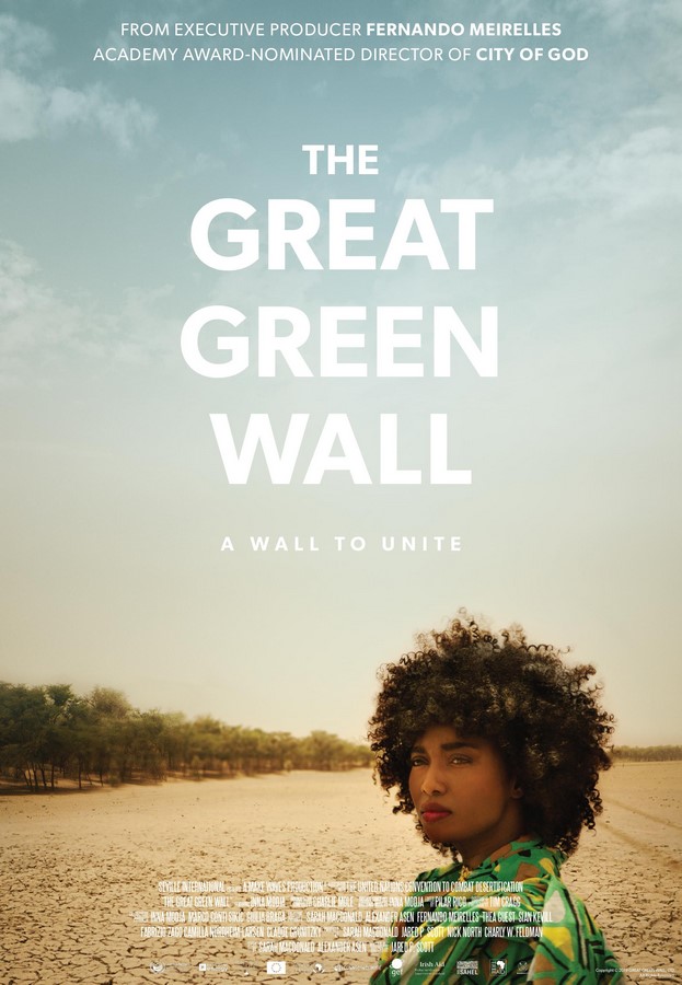 Project in-depth: The Great Green Wall, Africa - Sheet5