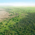 Project in-depth: The Great Green Wall, Africa - Sheet6