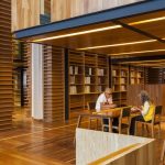Inclusive Design: A Window into Blind Mental Health - Sheet1
