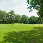 A11175-Importance of Play and Playscapes in urban settings- Sheet3