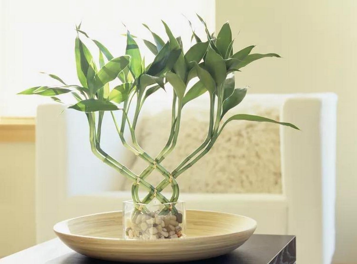 Feng Shui and Landscape Architecture - Sheet3