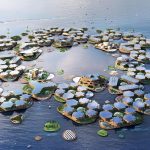 Can fantasy be the future of architecture? - Sheet7