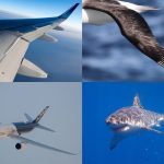 Bioinspired Design: Unveiling Nature's Solutions for Innovation and Sustainability - Sheet1