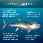 Bioinspired Design: Unveiling Nature's Solutions for Innovation and Sustainability - Sheet2