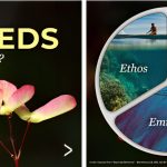 Bioinspired Design: Unveiling Nature's Solutions for Innovation and Sustainability - Sheet3
