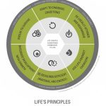 Bioinspired Design: Unveiling Nature's Solutions for Innovation and Sustainability - Sheet4