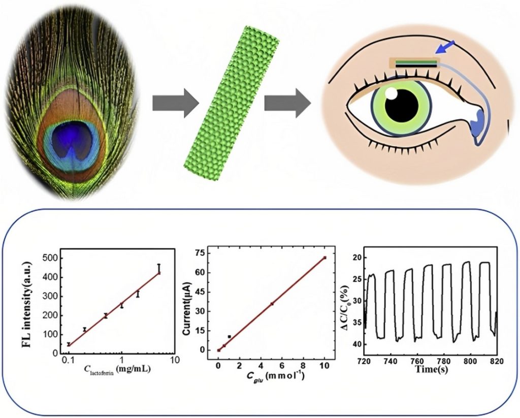 Bioinspired Design: Unveiling Nature's Solutions for Innovation and ...