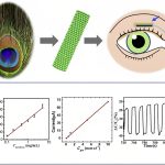 Bioinspired Design: Unveiling Nature's Solutions for Innovation and Sustainability - Sheet5