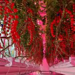 Non-Binary Architecture: Designing Beyond the Binary Spectrum - Sheet7