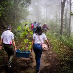 Sustainable Tourism Practices - Sheet8