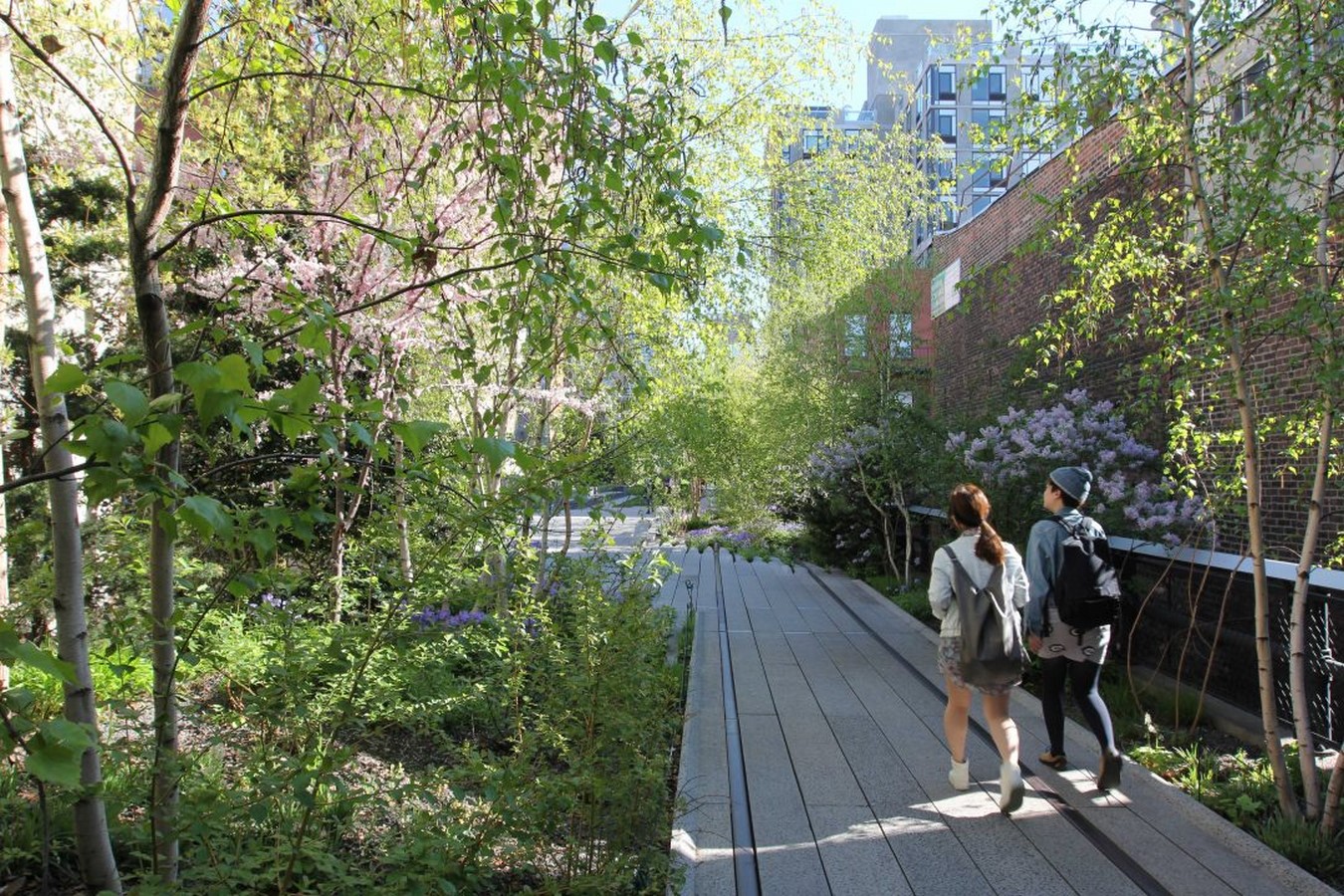 Project in-depth The High Line, New York City, USA - Sheet7