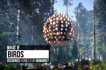 What if birds designed homes for humans?