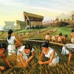 Evolving Realms: The Impact of Architecture on Human Consciousness and Culture - Sheet3
