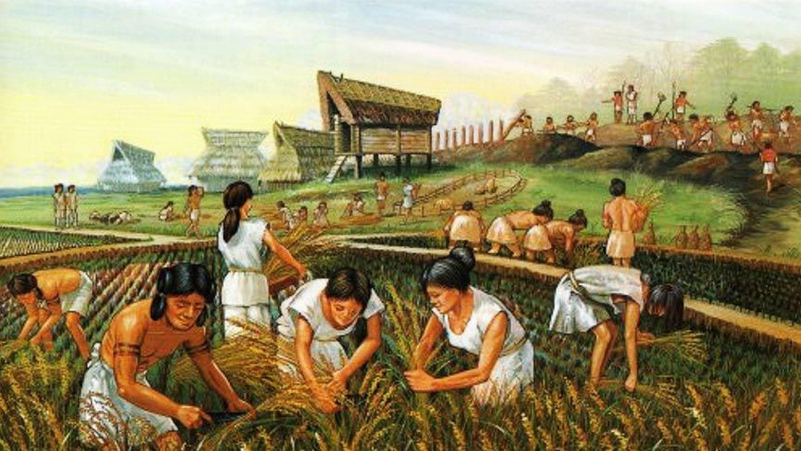 Evolving Realms: The Impact of Architecture on Human Consciousness and Culture - Sheet3