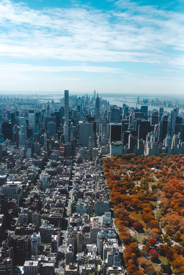 The Role of Green Infrastructure in Building Resilient Cities - Sheet1