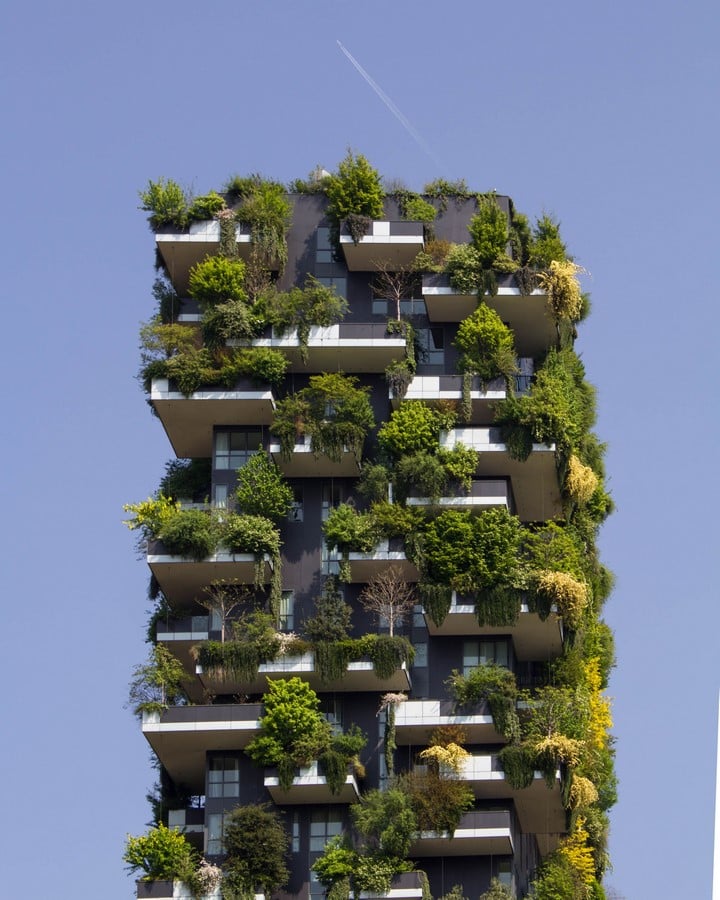 The Role of Green Infrastructure in Building Resilient Cities - Sheet3
