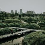 The Role of Green Infrastructure in Building Resilient Cities - Sheet5