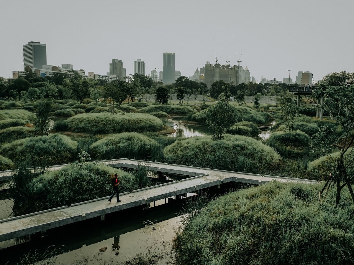 The Role of Green Infrastructure in Building Resilient Cities - RTF ...