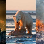 Global Climate Action - Sheet1