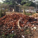 Willow Technologies Transforms Agricultural By-Products Into Building Materials in Ghana - Sheet4
