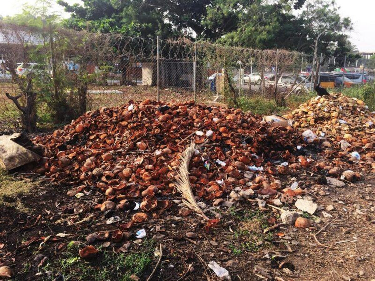 Willow Technologies Transforms Agricultural By-Products Into Building Materials in Ghana - Sheet4