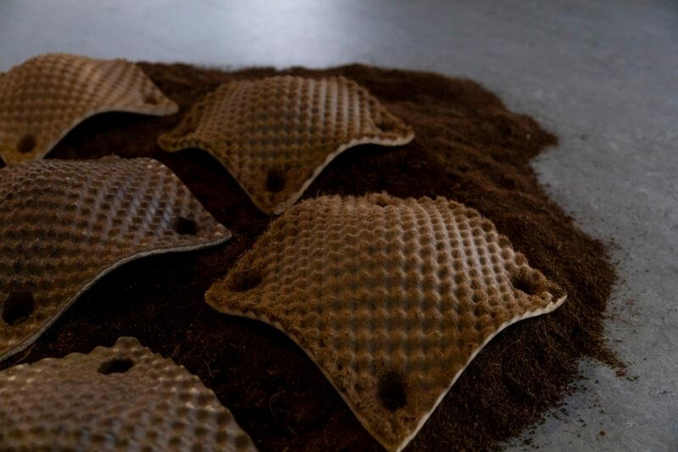 Willow Technologies Transforms Agricultural By-Products Into Building Materials in Ghana - Sheet5
