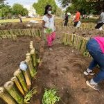 Willow Technologies Transforms Agricultural By-Products Into Building Materials in Ghana - Sheet7