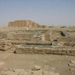 Architecture: The past, present and future - Sheet5