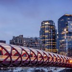 Urbanization and Demographic Trends: Canada - SHeet5