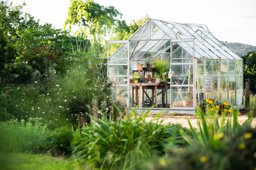 Explore a Spectrum of Growth: Greenhouse Kits and Greenhouses for Sale